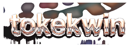 tokekwin rtp logo